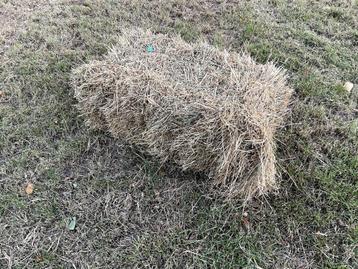 Paardenhooi beschikbaar voor biedingen