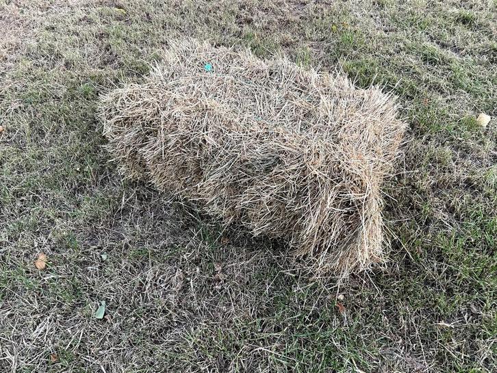 Paardenhooi, Dieren en Toebehoren, Dierenvoeding, Overige soorten, Verzenden