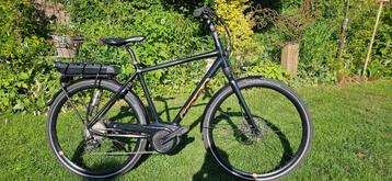Koga elektrische herenfiets beschikbaar voor biedingen