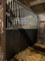 Tussenwand gezocht, Dieren en Toebehoren, Stalling en Weidegang