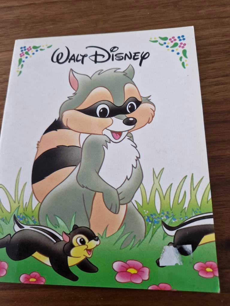 Walt Disney kleurboek, Ophalen of Verzenden