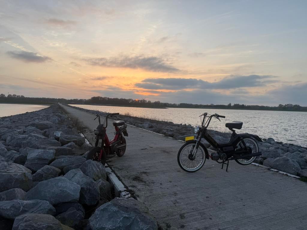 Puch maxi (special edition), Fietsen en Brommers, Ophalen, Maximaal 45 km/u, Zo goed als nieuw, 1 versnellingen