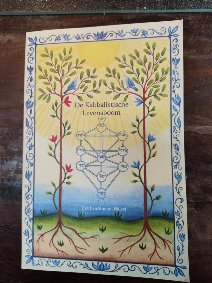De Kabbalistische Levensboom, Boeken, Godsdienst en Theologie, Zo goed als nieuw, Ophalen of Verzenden