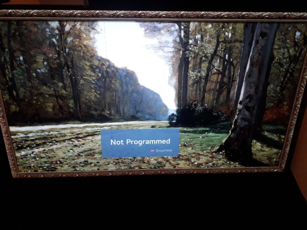 Oled 65 inch defect, Audio, Tv en Foto, Televisies, 120 Hz, Ophalen of Verzenden, Zo goed als nieuw, 100 cm of meer