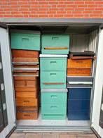 Bijenkasten en onderdelen, Bijen