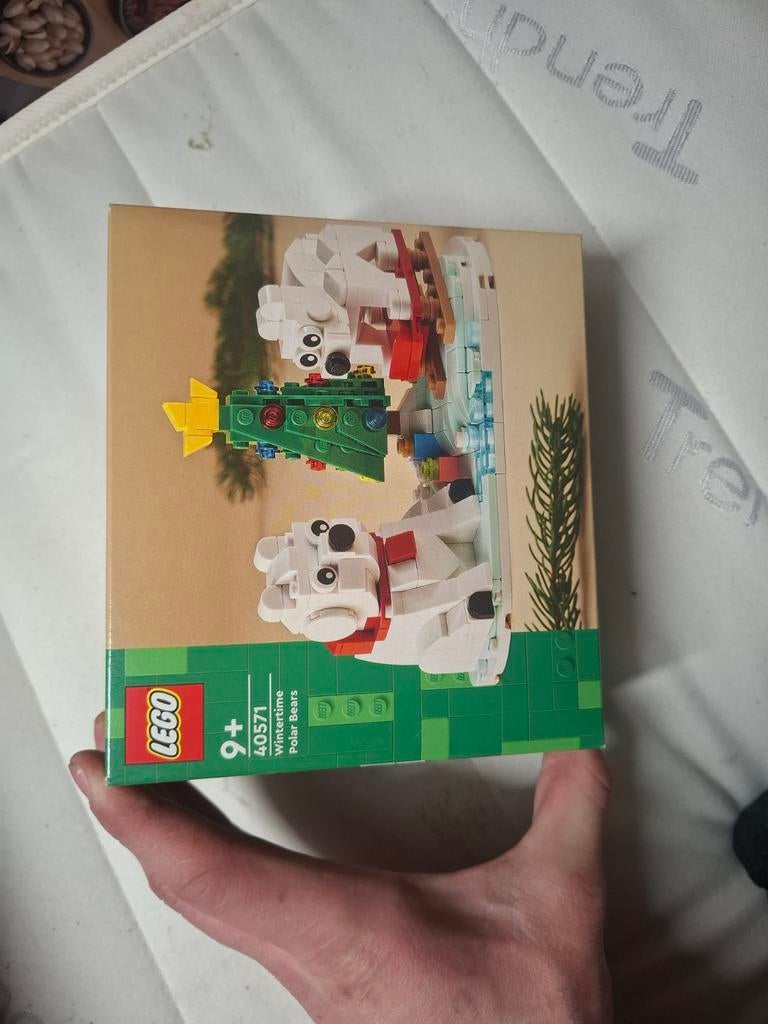 LEGO 40571 Wintertime Polar Bears - Nieuw in doos, Ophalen, Overige thema's, Lego, Nieuw