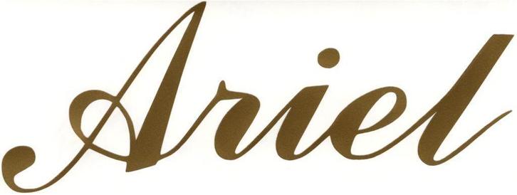 Ariel sticker #2, Motoren, Accessoires | Stickers, Ophalen of Verzenden
