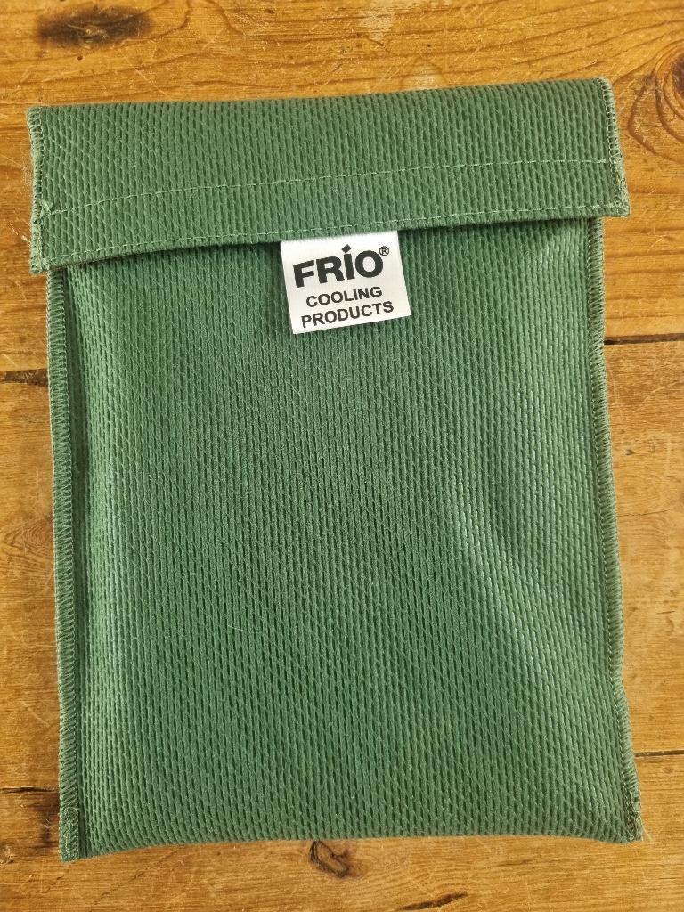 Grote insuline koeltas Frio (20½ x 16 cm), Diversen, Verpleegmiddelen, Ophalen, Zo goed als nieuw