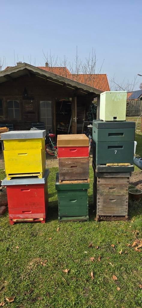 Dadant Blatt kasten nog 4 beschikbaar, Dieren en Toebehoren, Insecten en Spinnen, Bijen