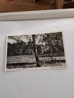 HIERDEN. VACANTIE-OORD "BOSCH EN LOMMER 1953, Postzegels en Munten, Ophalen of Verzenden, Briefkaart