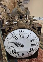 schotelhaan, Ophalen of Verzenden