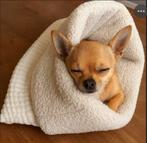 Zachte stevige honden slaapzak voor sphynx chihuahua puppy, Ophalen, Nieuw