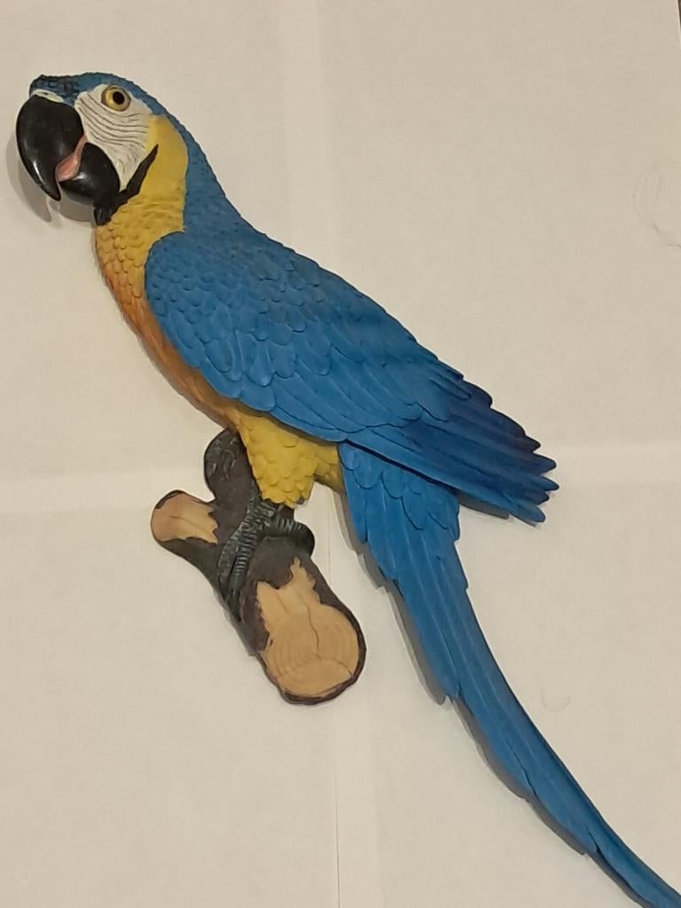 ARA   beeld, Ophalen, Nieuw, Dier