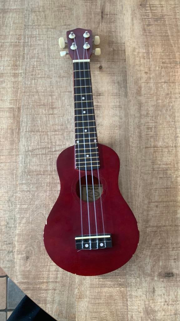 Ukulele, Ophalen of Verzenden, Overige typen