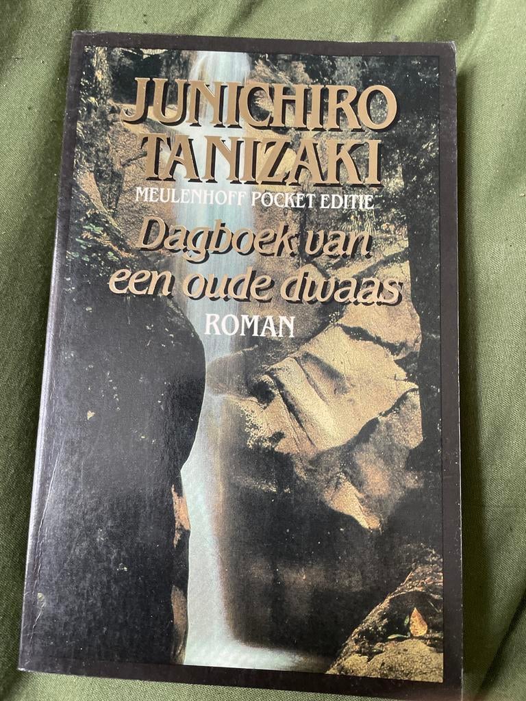 Dagboek van een oude dwaas - Junichiro Tanizaki, Ophalen of Verzenden, Gelezen, Nederland