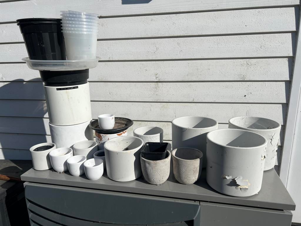 Potten en binnenpotten intratuin GRATIS pot binnenpot, Ophalen, Pvc, Overige typen, Zo goed als nieuw