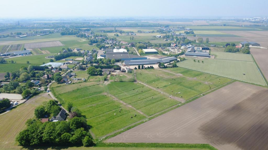 Enkele stallen vrij op basis van vol pension., Weidegang, 4 paarden of pony's of meer