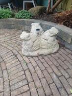 Parasolvoet steen kikkers, Ophalen, Minder dan 1 meter, Parasolvoet