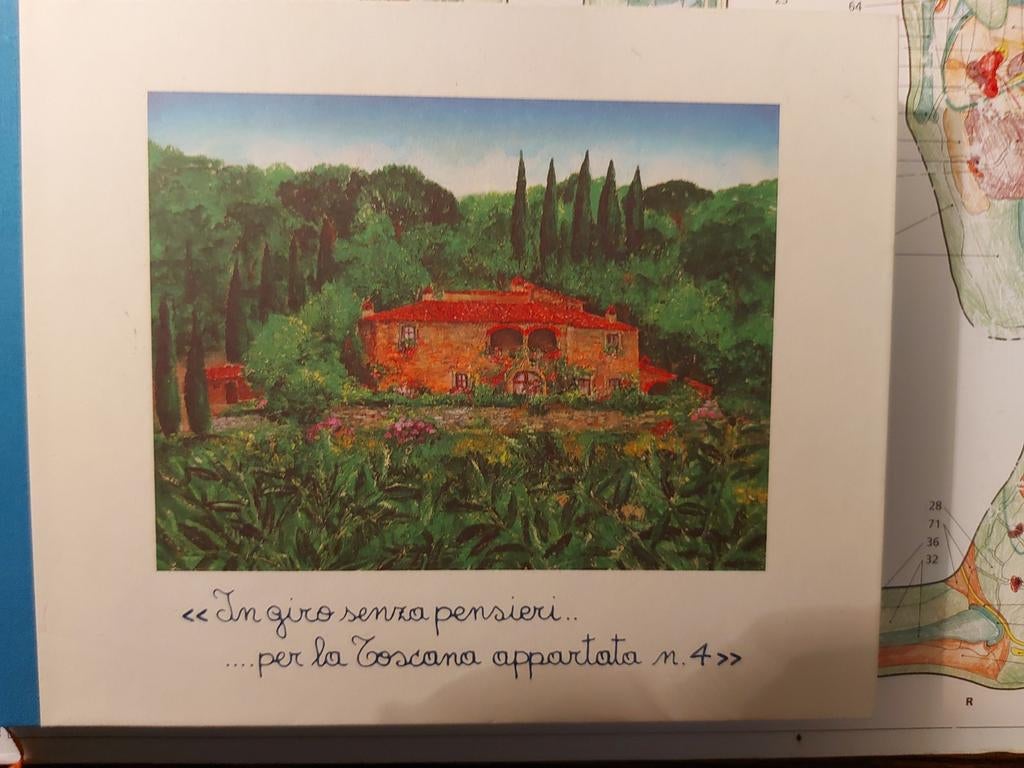 In giro senza pensieri..per la Toscana appartata nr 4., Ophalen of Verzenden, Nieuw