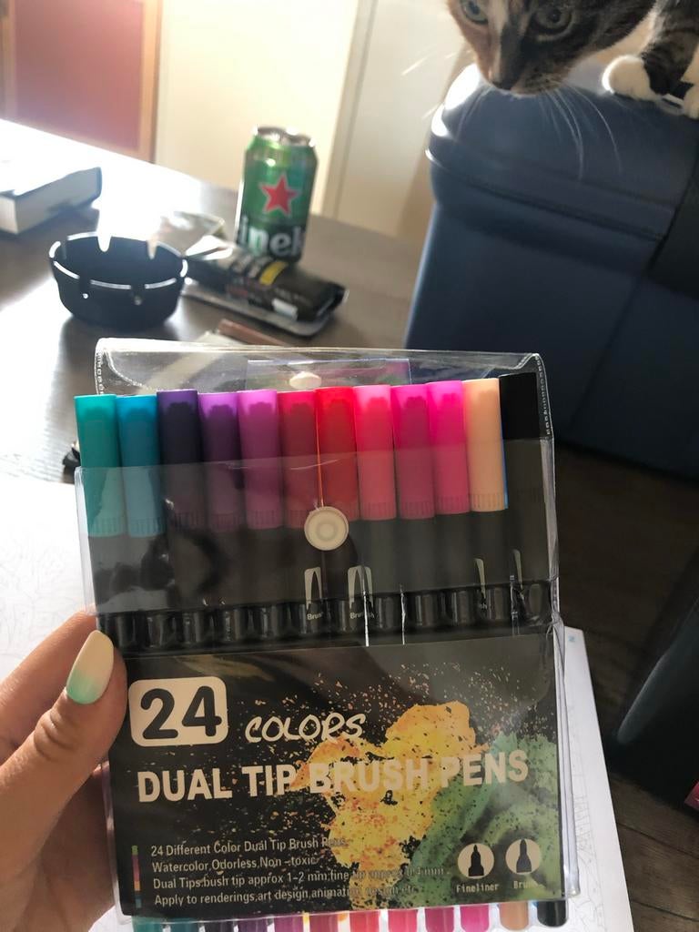 Diverse stiften: Dual Tip Brush Pens & Nassau Markers, Ophalen of Verzenden, Nieuw, Potlood of Stift