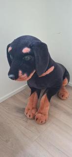 Grote speelgoed hond - Dobermann knuffel, Ophalen