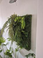 Wanddecoratie met kunststof planten, Ophalen of Verzenden