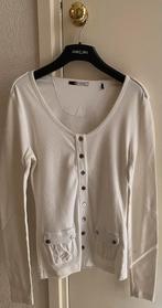 RS women wit vest vestje 38 in 95% katoen en 5% elastan, Ophalen of Verzenden, Nieuw, Maat 38/40 (M), Wit