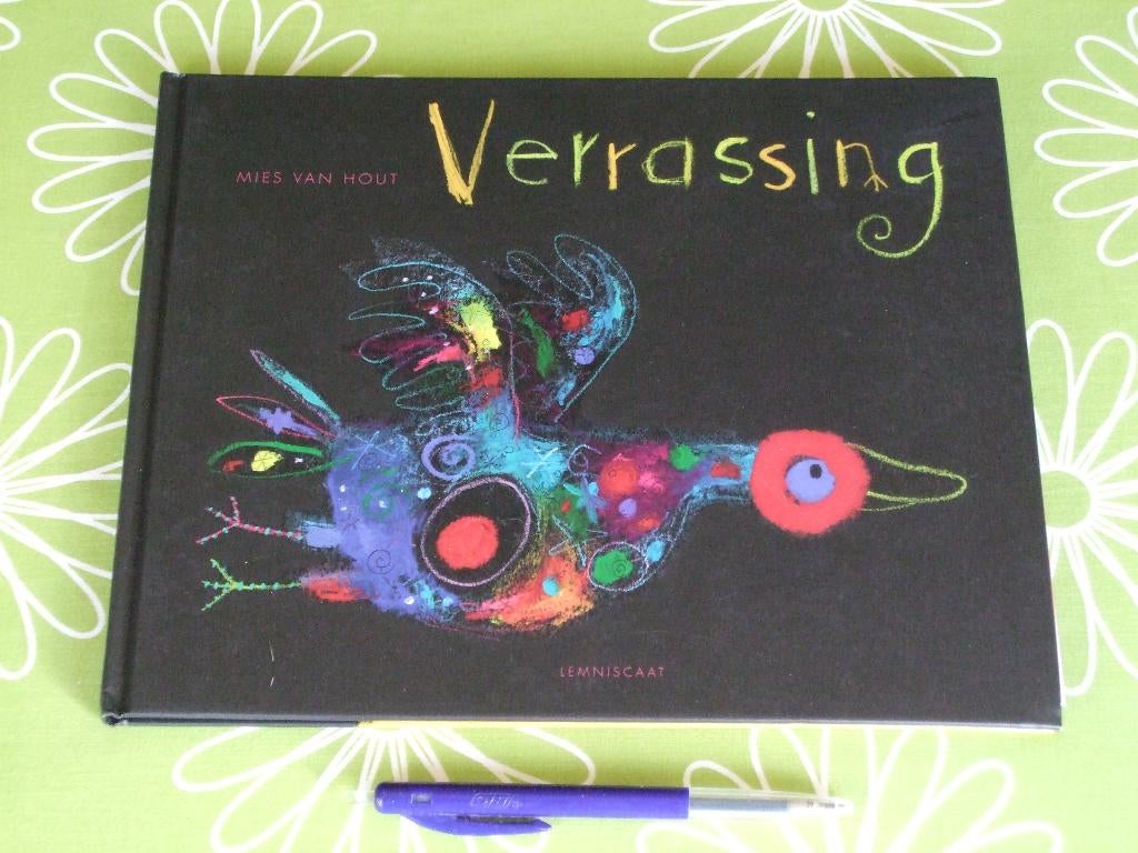 Verrassing - door Mies van Hout, Boeken, Fictie algemeen, Mies van Hout, Ophalen of Verzenden, Zo goed als nieuw