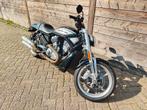 Harley Davidson vrod street rod VSCR, Motoren, Motoren | Harley-Davidson, Particulier, Chopper