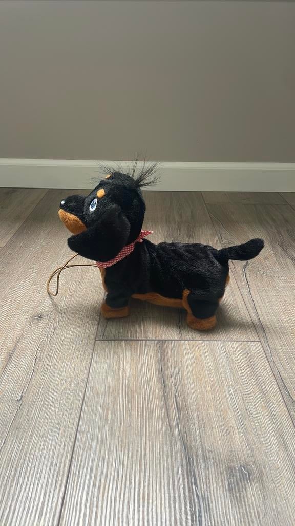 Hondje, Ophalen, Zo goed als nieuw, Jongen of Meisje