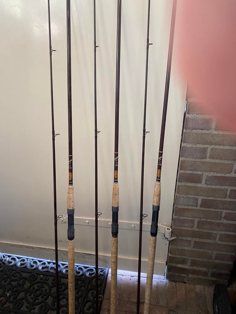 3x Wout van Leeuwen, Ophalen of Verzenden, Gebruikt, Werphengel