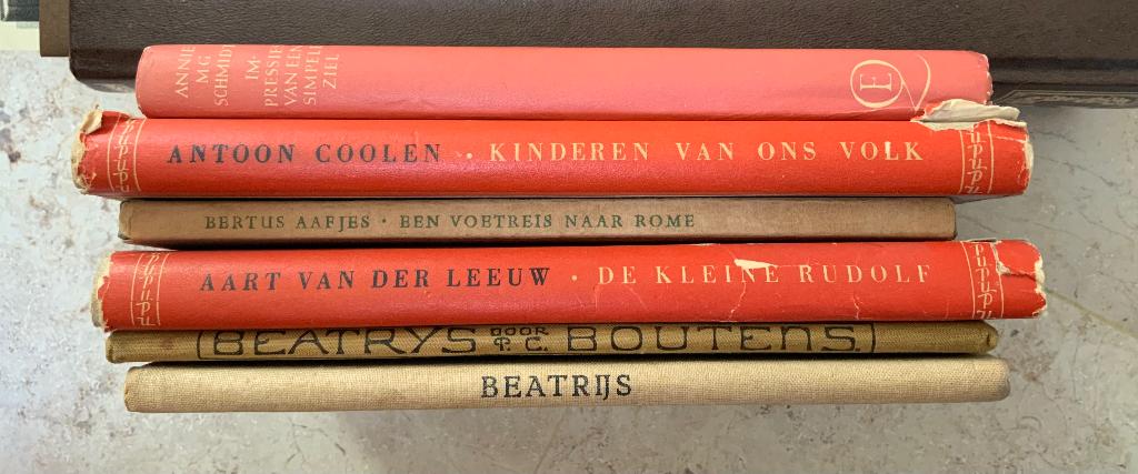 Nederlandse literatuur, Antiek en Kunst, Ophalen of Verzenden, Diverse