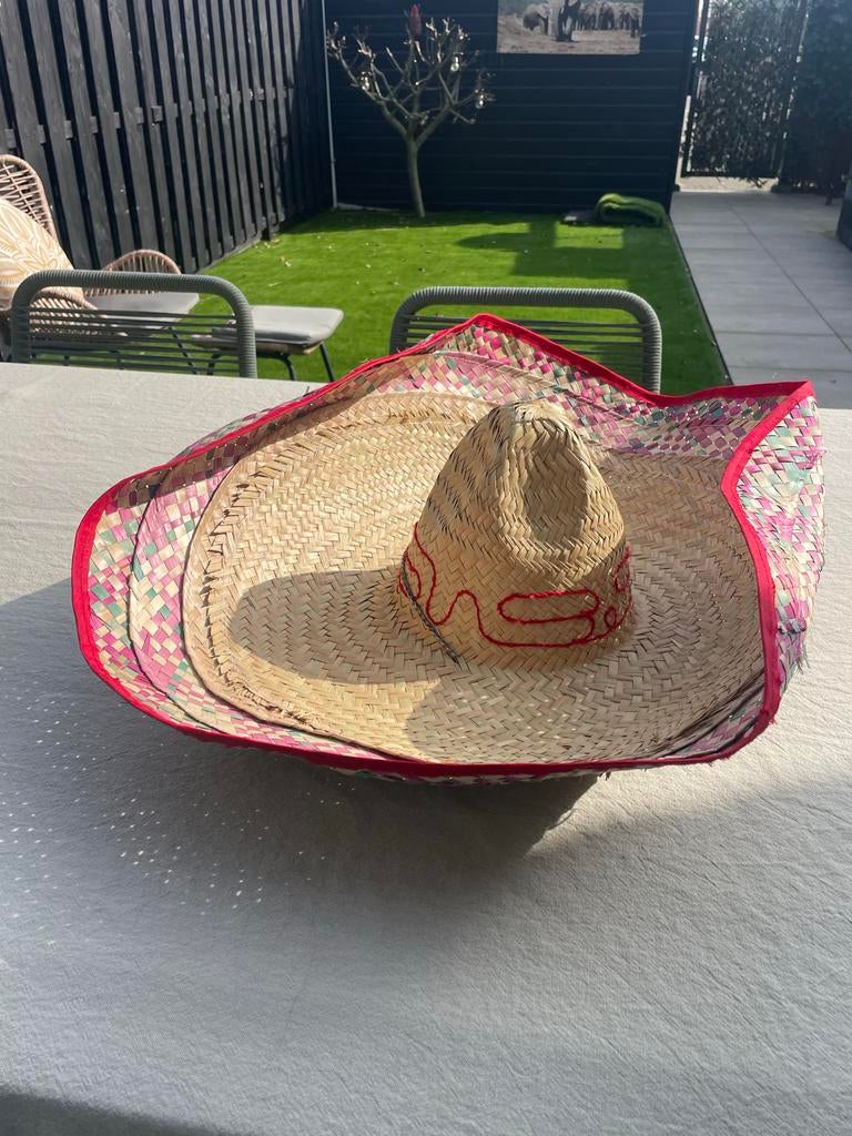 Mexicaanse hoed voor musical of verkleedpartij, Ophalen of Verzenden, Gebruikt, Handschoenen, Hoed of Pet