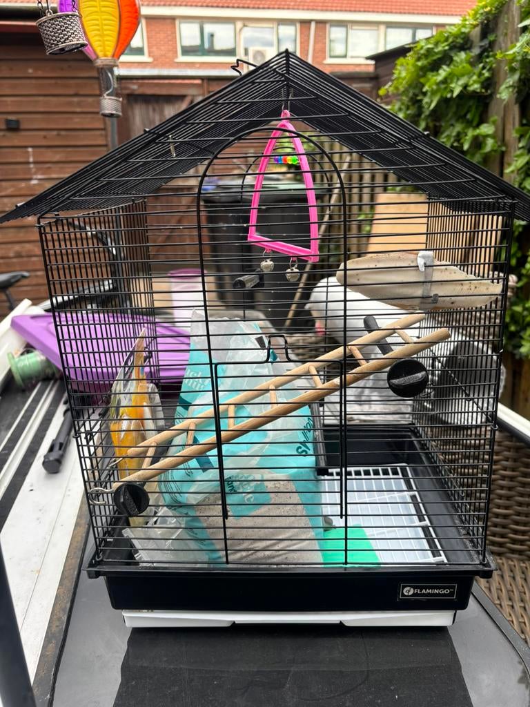 Vogelkooi, Kooi, Minder dan 75 cm, Zo goed als nieuw, Ophalen
