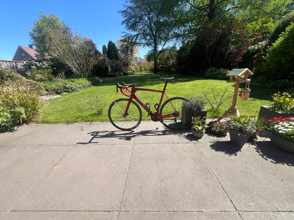 Sensa Giulia G5 racefiets - Carbon frame, 58cm, Fietsen en Brommers, 28 inch, Carbon, Heren, Zo goed als nieuw