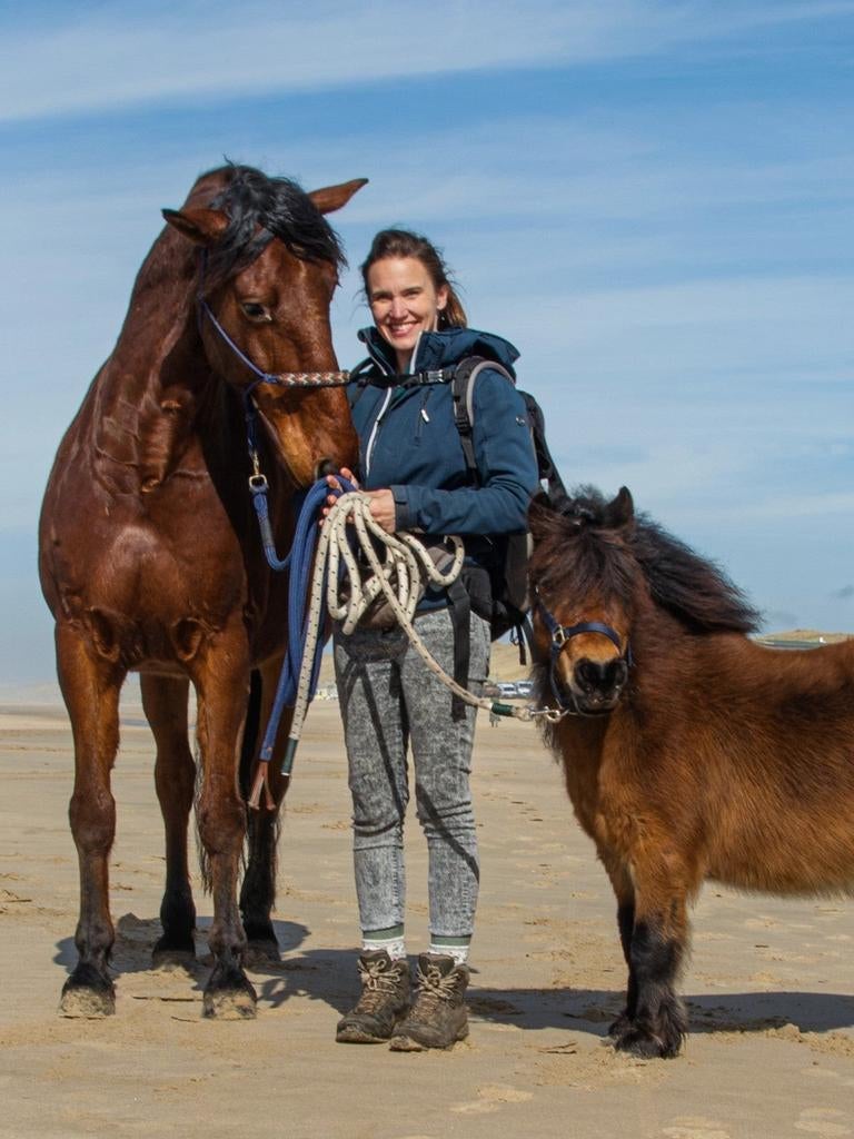 GEZOCHT 24/7 buiten paddock/wei voor paard en shet