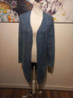 Mooie fluffy vest van Miss Etam, maat XL, Blauw, Maat 46/48 (XL) of groter, Ophalen of Verzenden, Zo goed als nieuw