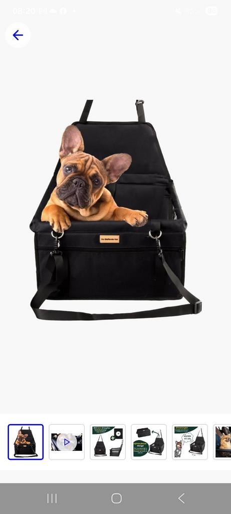 Reismand hond, Dieren en Toebehoren, Ophalen, Nieuw