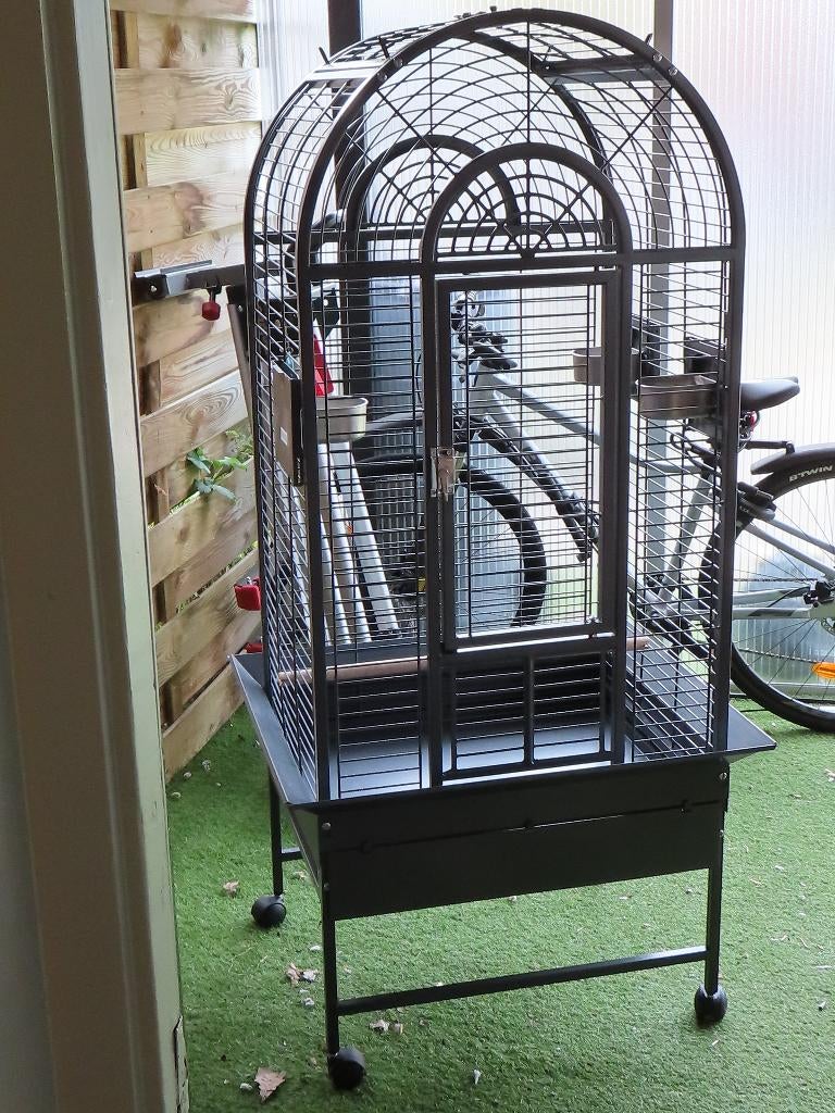 papagaai kooi, Dieren en Toebehoren, Ophalen, Zo goed als nieuw, Metaal, Vogelkooi