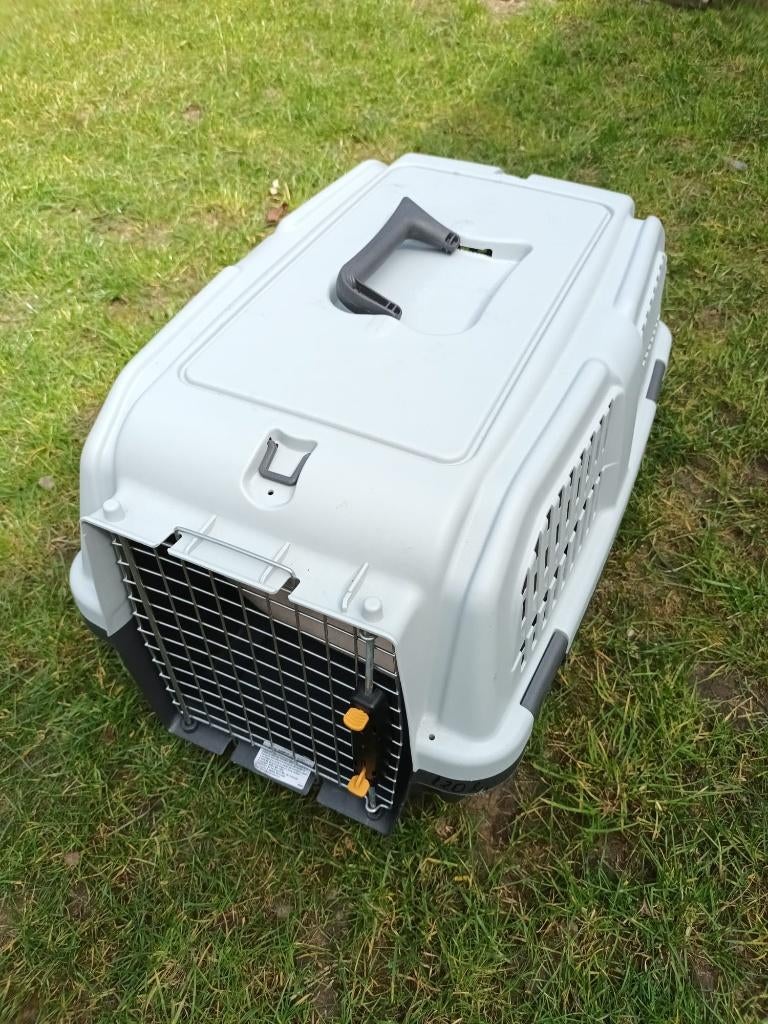 Poezen accessoires, Dieren en Toebehoren, Ophalen, Nieuw