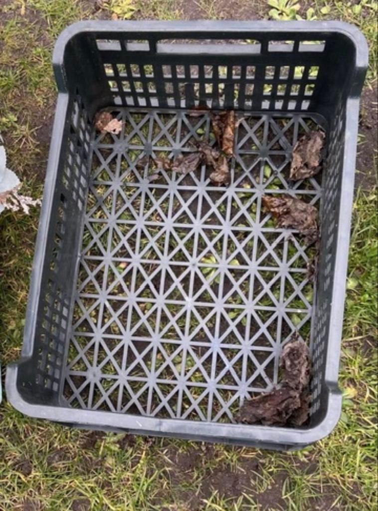 Krat, Ophalen of Verzenden, Zo goed als nieuw