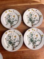 Villeroy Boch Botanica gebruikt, Ophalen of Verzenden