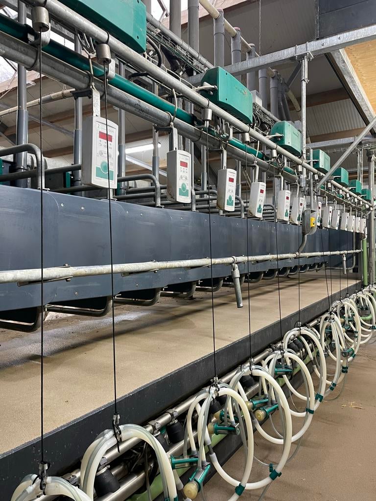 Gea Westfalia Melkstal geiten/schapen 2019, Ophalen, Veehouderij, Melktechniek