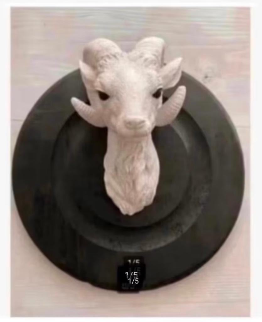 Beeld Ram zwart hout ondergrond Polyresin buiten binnen, Ophalen of Verzenden
