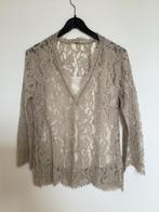 GUSTAV Kanten Blouse/Top - Nieuw, Kleding | Dames, Ophalen of Verzenden, Nieuw, Maat 38/40 (M), Beige