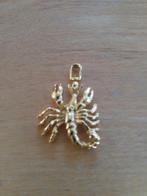 Schorpioen kettinghanger (geen goud), Ophalen of Verzenden, Zo goed als nieuw, Dier