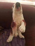 Pluche hond zie foto's bieden gebruikt, Ophalen of Verzenden, Gebruikt, Hond