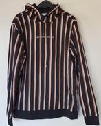 Heren hooded sweater Daily Aesthetikz maat L zgan b, Ophalen of Verzenden, Zo goed als nieuw, Maat 52/54 (L), Daily aesthetikz