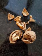 walnoten biologisch ALLERLAATSTE KILO'S 6 kilo beschikbaar, Diversen, Levensmiddelen, Ophalen