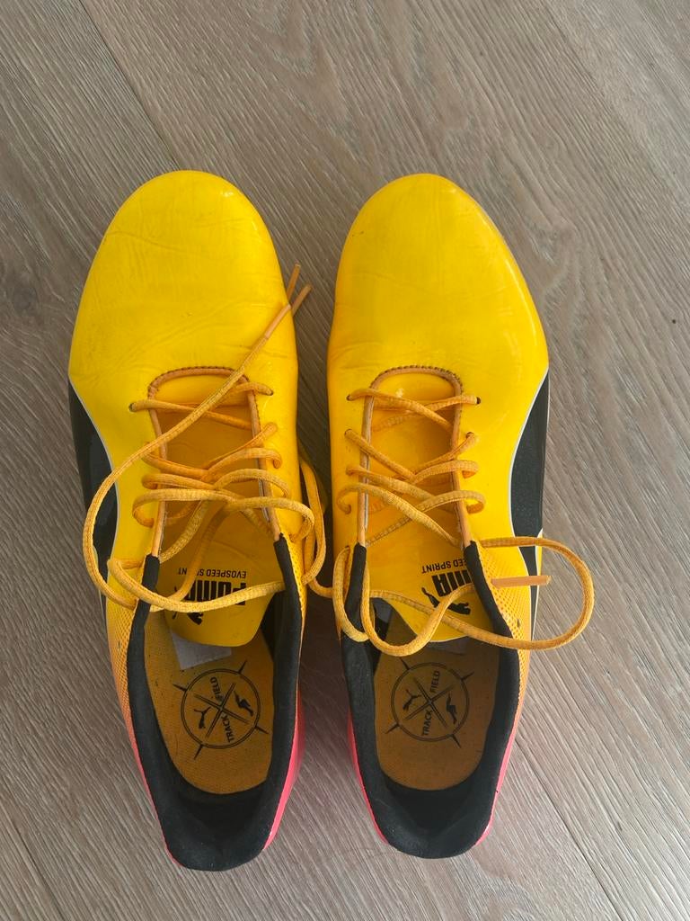 Puma sprint spikes maat 42, Sport en Fitness, Loopsport en Atletiek, Overige merken, Gebruikt, Ophalen of Verzenden, Spikes